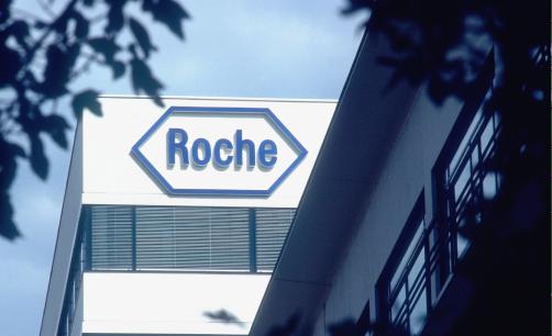 Roche job cuts