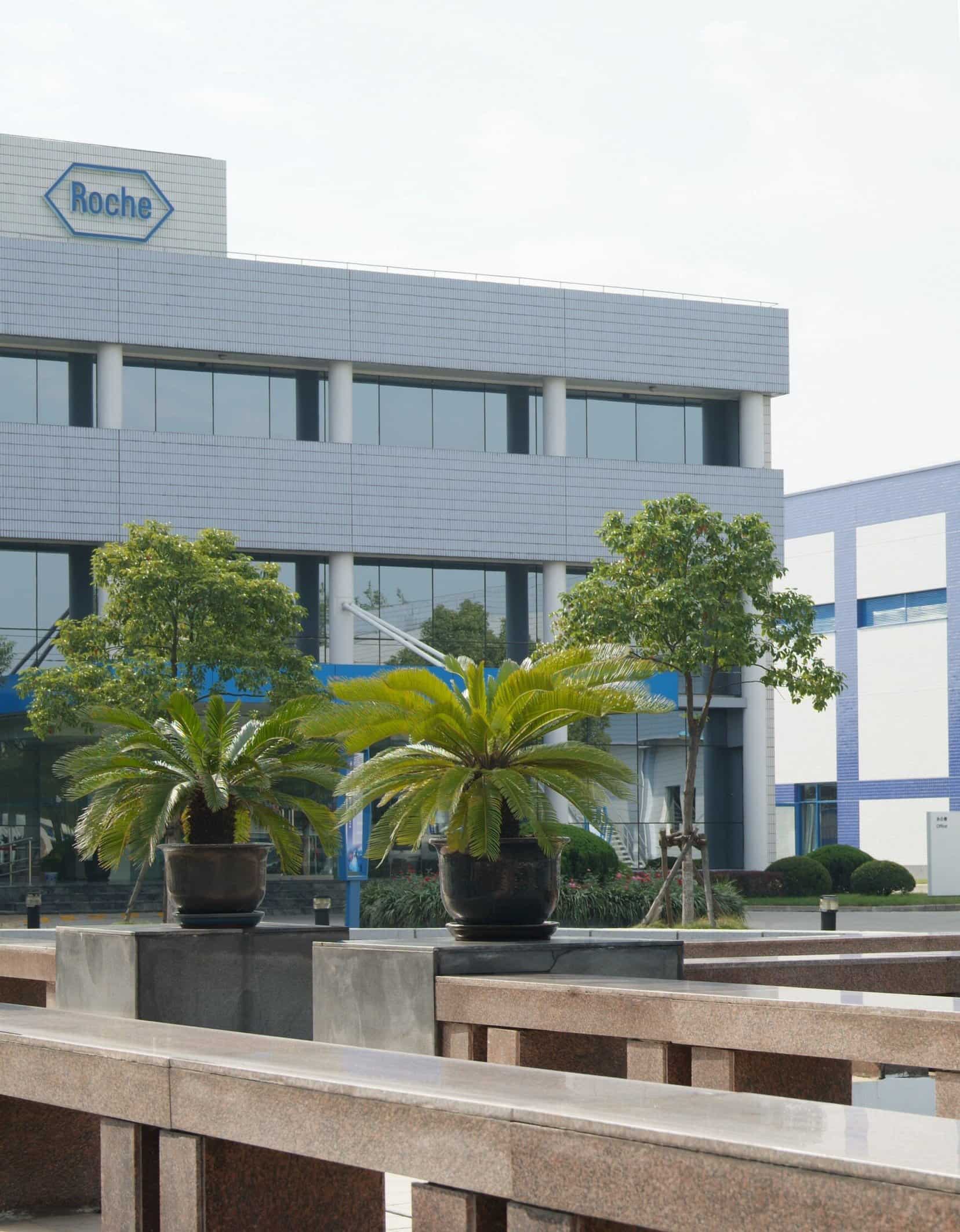 FDA grants accelerated approval for Roche’s bladder cancer ...