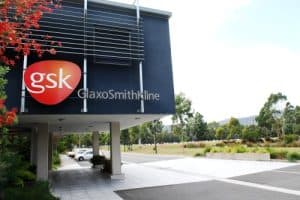 gsk_boronia_australia