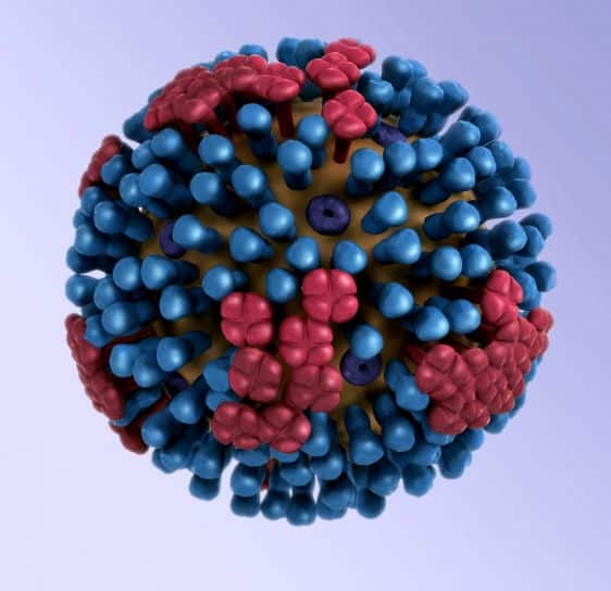 3-dimensional-model-of-influenza-virus-3d-graphical-representation-of-influenza-virion-ultrastructure-562x544