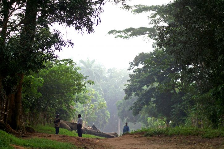 congo_forest
