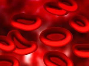 blood-75301_1280